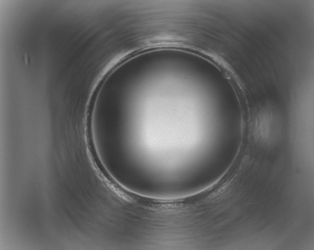 X0000056011333200508191251
