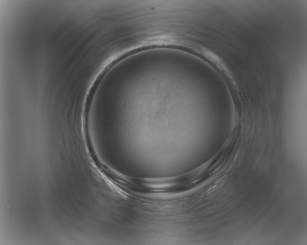 X0000056011334200508191251