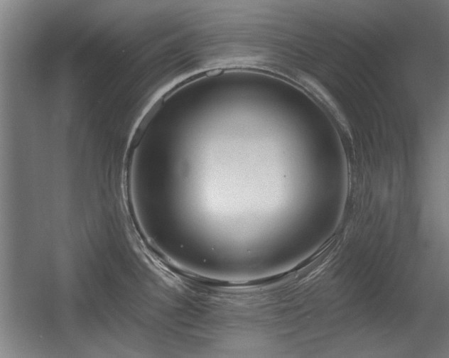X0000056011340200508191251