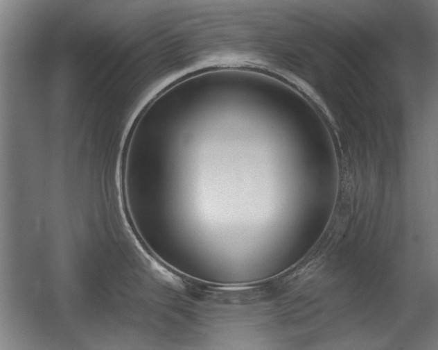 X0000056011343200508191251