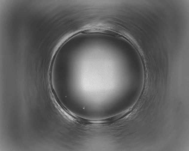 X0000056011344200508191251