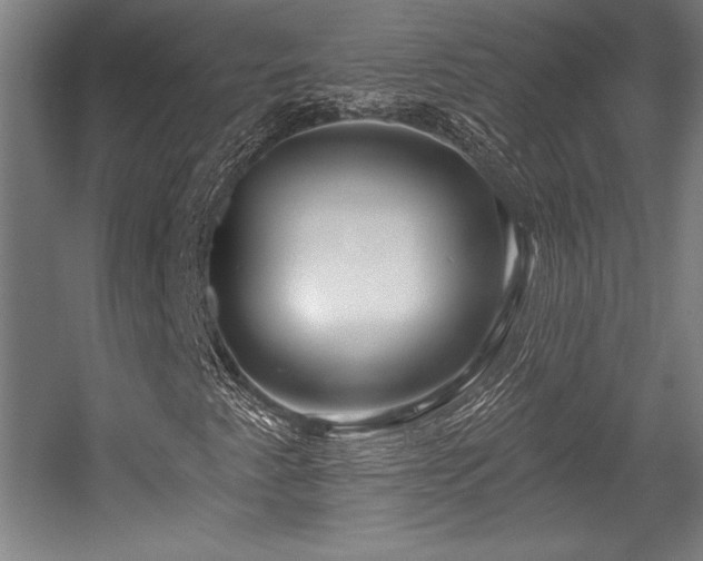 X0000056011345200508191250