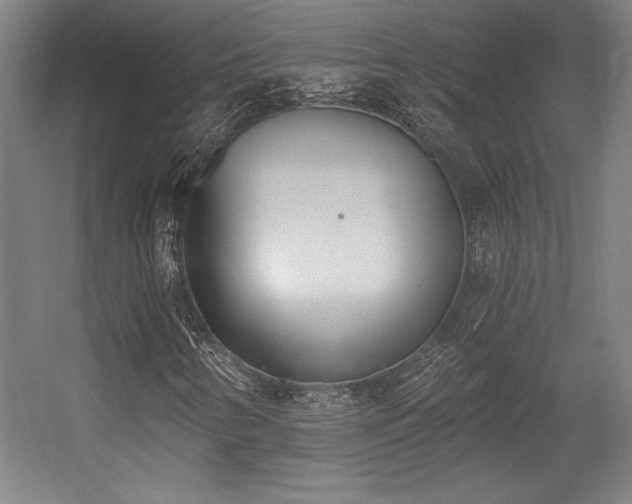 X0000056011346200508191250