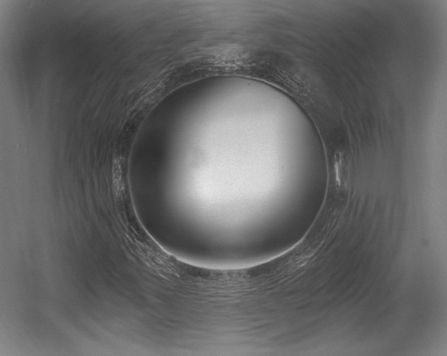 X0000056011347200508191250