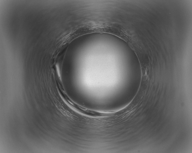X0000056011348200508191250