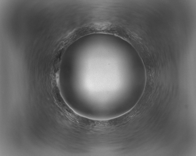 X0000056011349200508191250