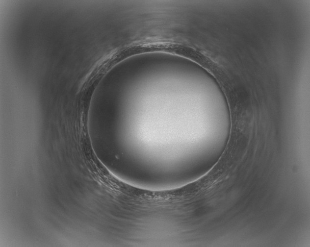 X0000056011351200508191250