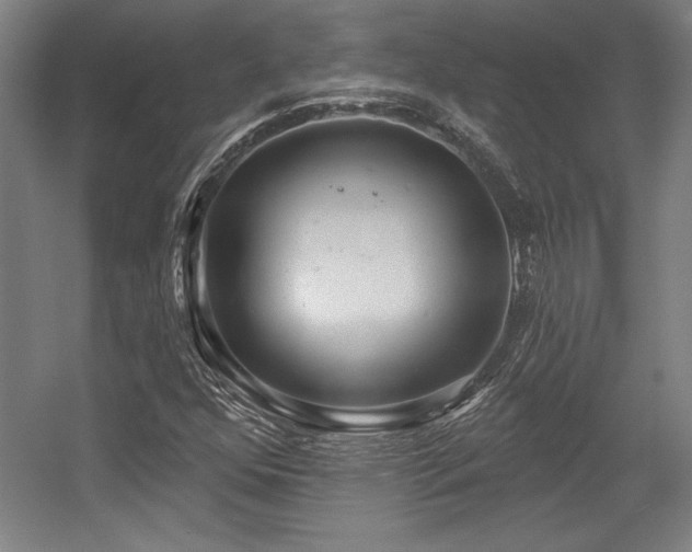 X0000056011352200508191250