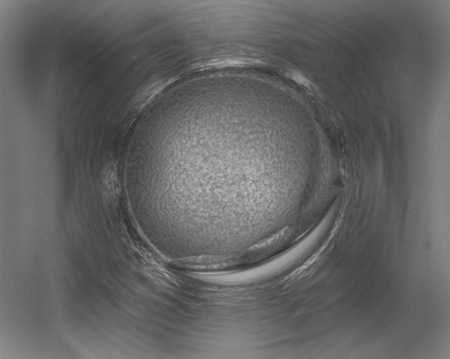 X0000056011353200508191250