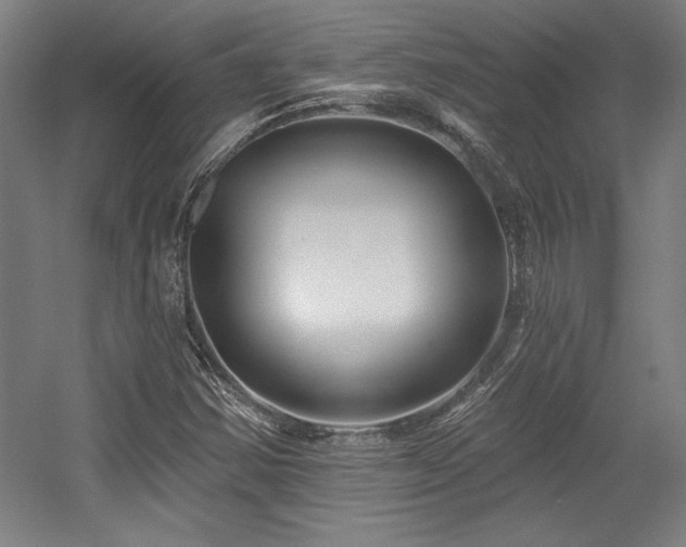 X0000056011354200508191250