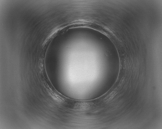 X0000056011355200508191250