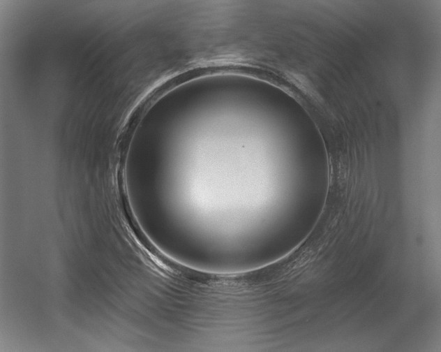X0000056011356200508191250