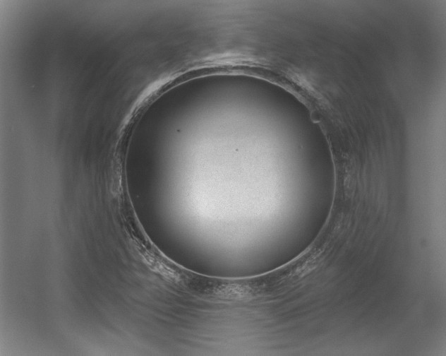 X0000056011358200508191250
