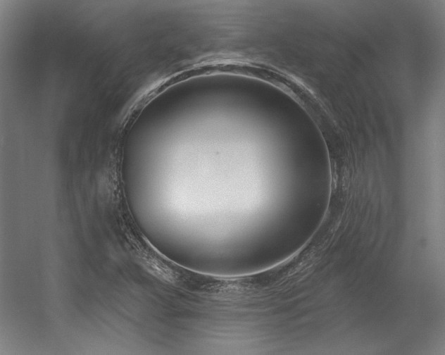 X0000056011359200508191250