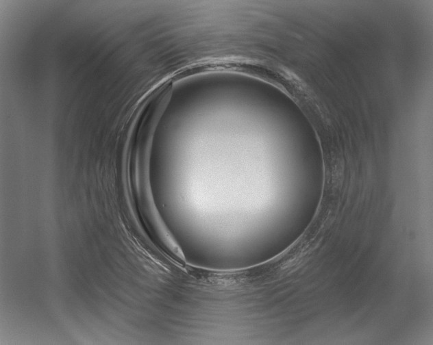 X0000056011361200508191250