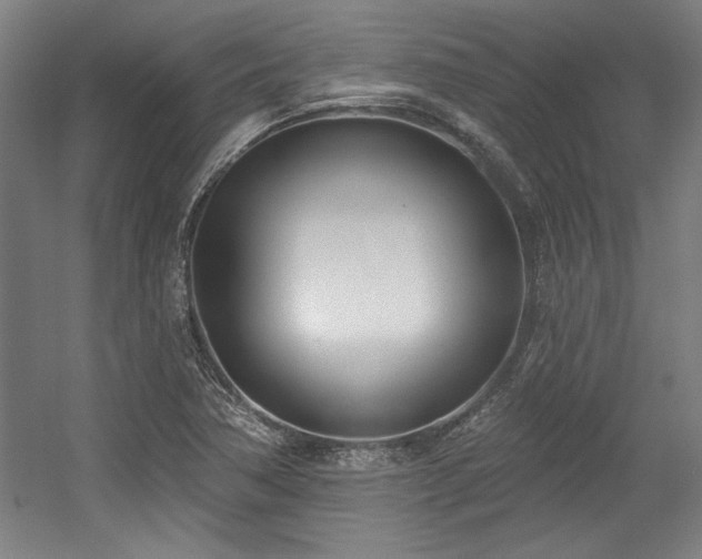 X0000056011362200508191250