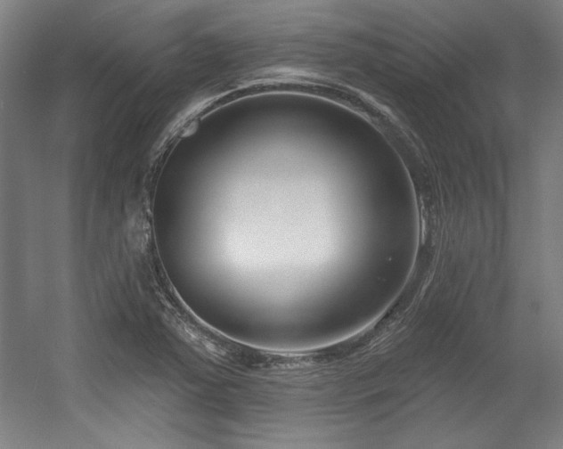 X0000056011363200508191250
