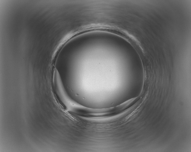 X0000056011365200508191250