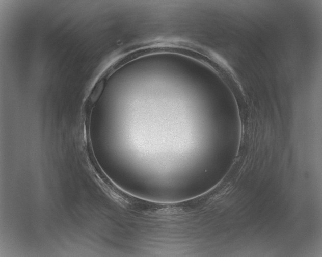 X0000056011368200508191250