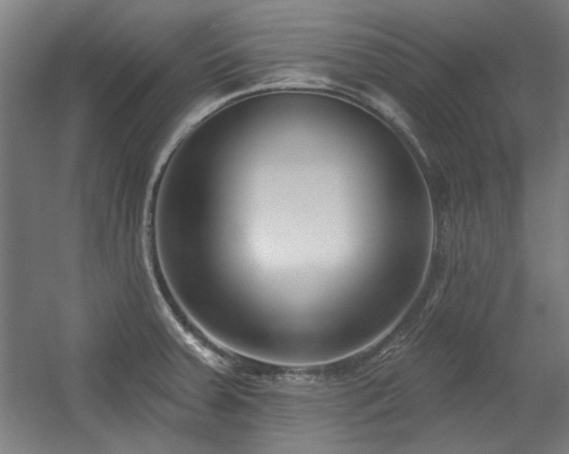 X0000056011379200508191250