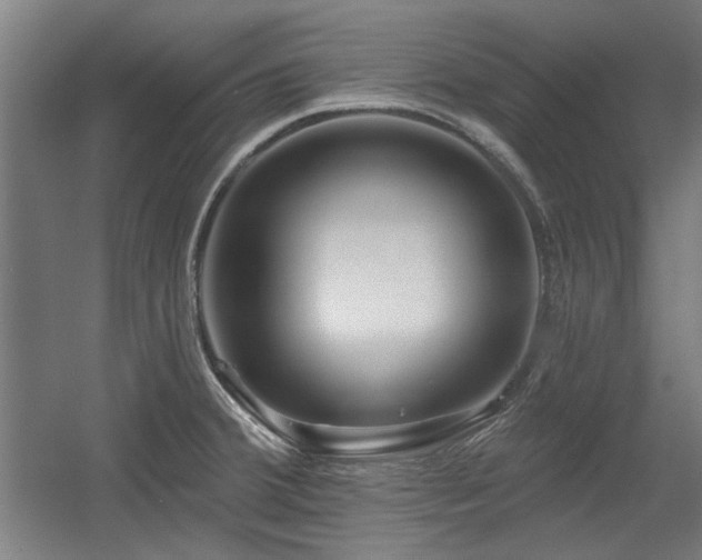 X0000056011380200508191250