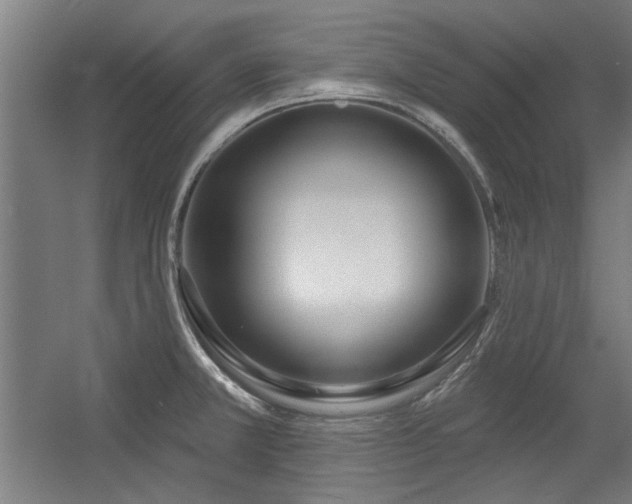 X0000056011381200508191250