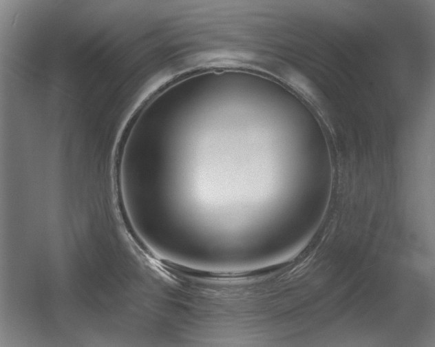 X0000056011384200508191250