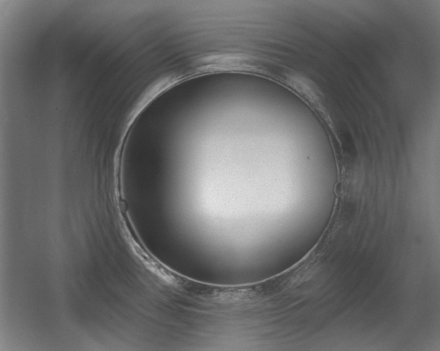 X0000056011386200508191250
