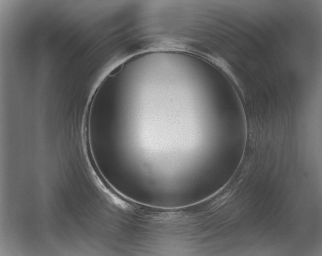 X0000056011387200508191250