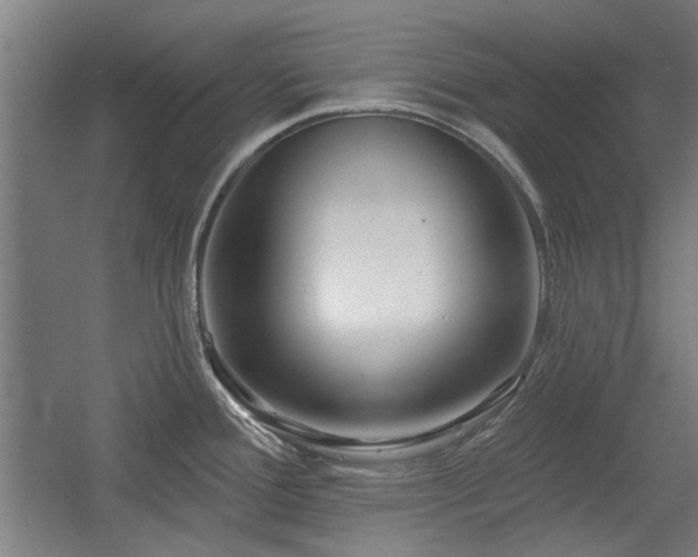 X0000056011388200508191250