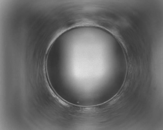 X0000056011390200508191250