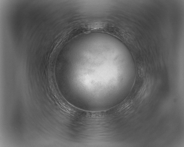 X0000056011393200508191249