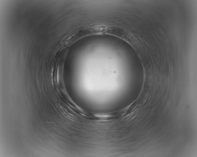 X0000056011394200508191249