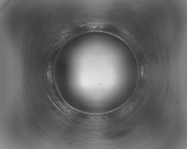 X0000056011396200508191249