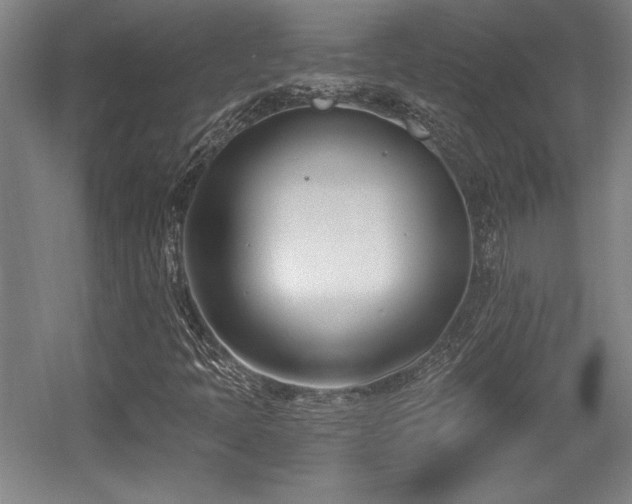 X0000056011397200508191249