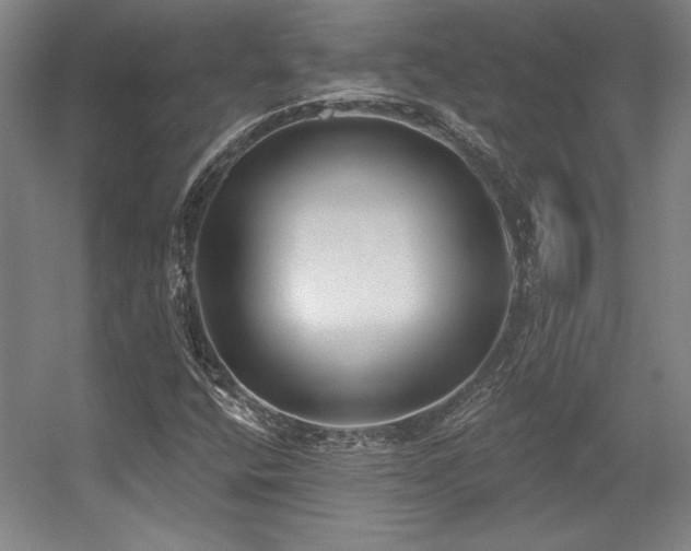X0000056011400200508191249