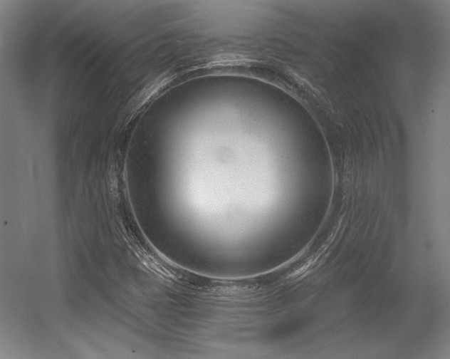 X0000056011401200508191249