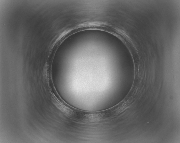 X0000056011404200508191249