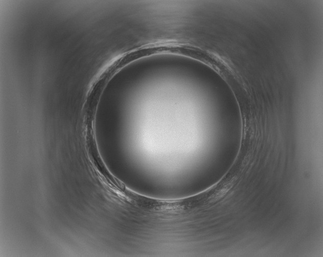 X0000056011406200508191249