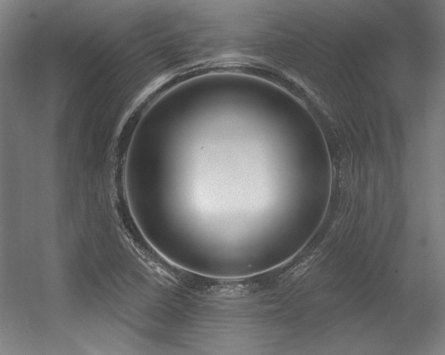 X0000056011410200508191249
