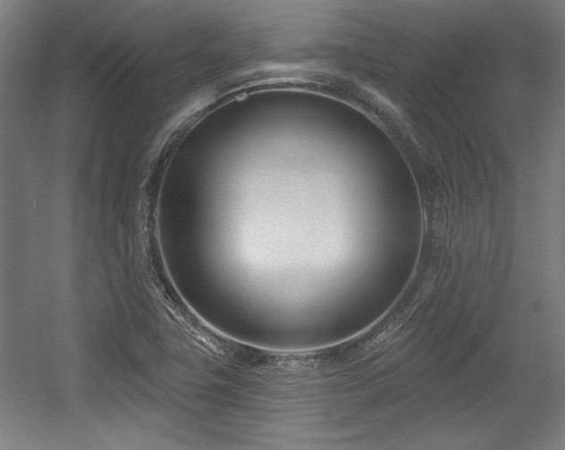 X0000056011411200508191249