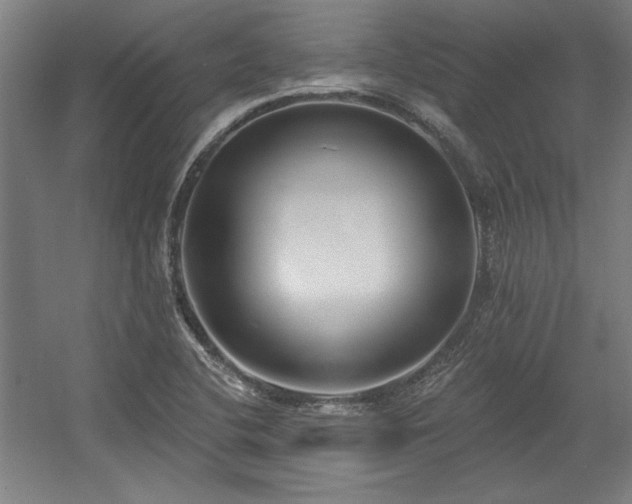 X0000056011412200508191249