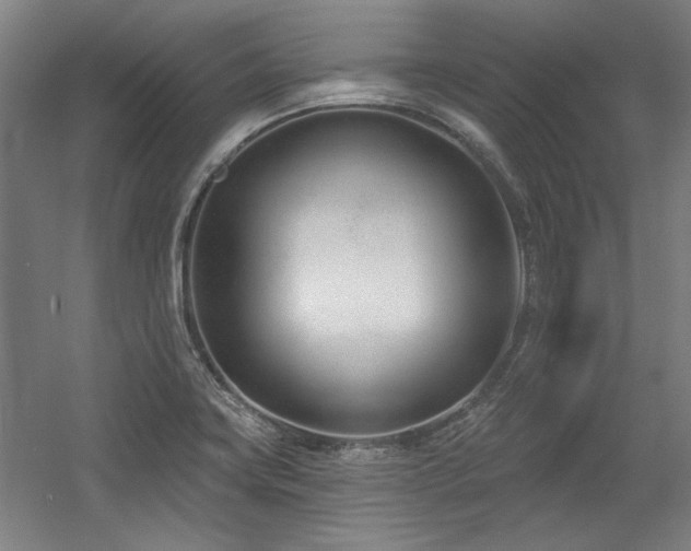 X0000056011419200508191249