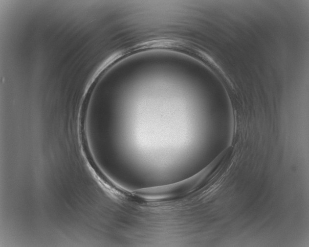 X0000056011426200508191249
