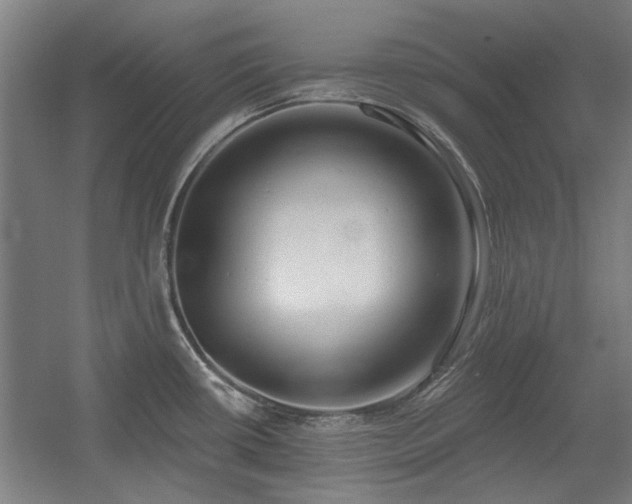 X0000056011434200508191249