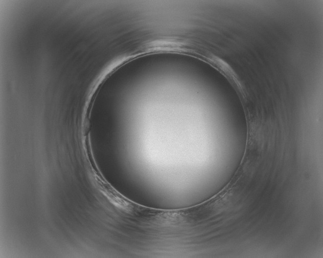 X0000056011435200508191249