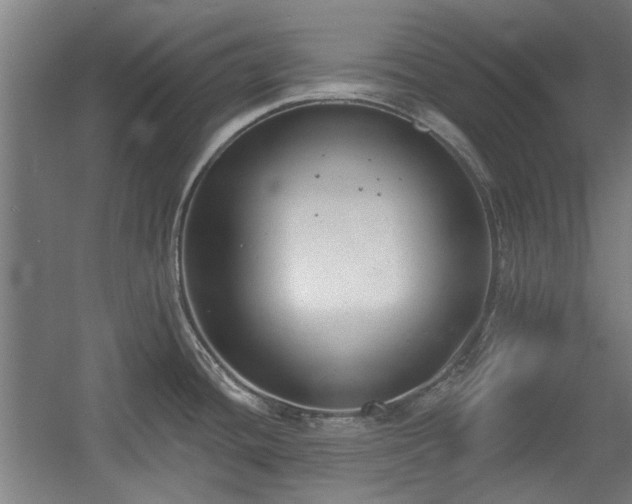 X0000056011436200508191249