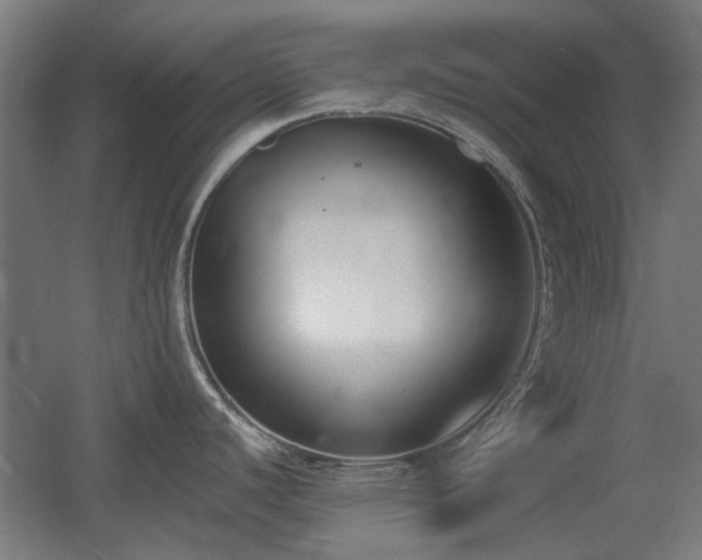 X0000056011440200508191249