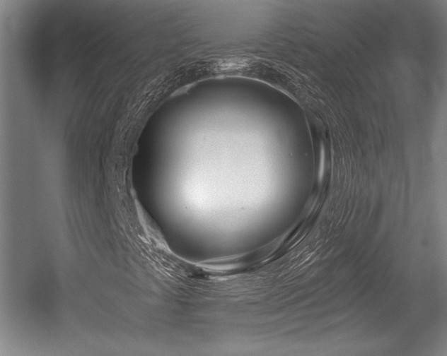 X0000056011441200508191249