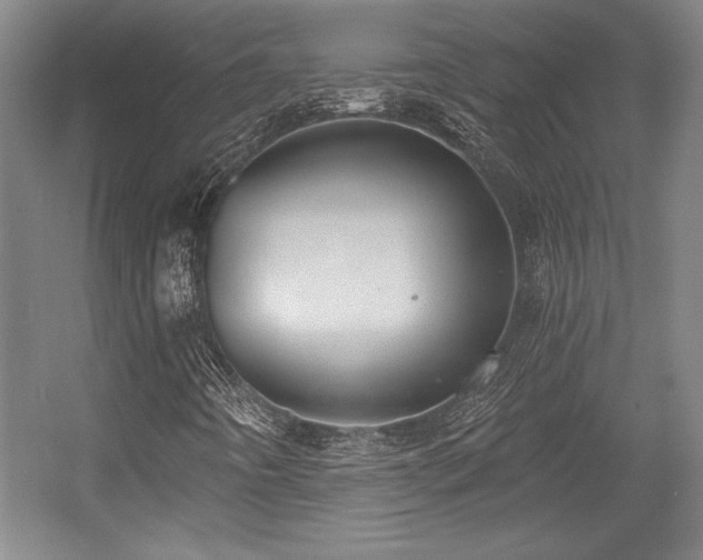 X0000056011442200508191249